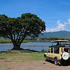 Nature, Culture & Safaris in the Cape
