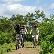 Tanzania Safari Adventure